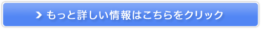 vZX{[e̔TCg